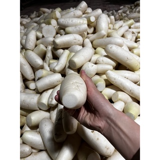 Củ cải nương (Organic) Hoàng Su Phì sấy khô (Gói 100g)