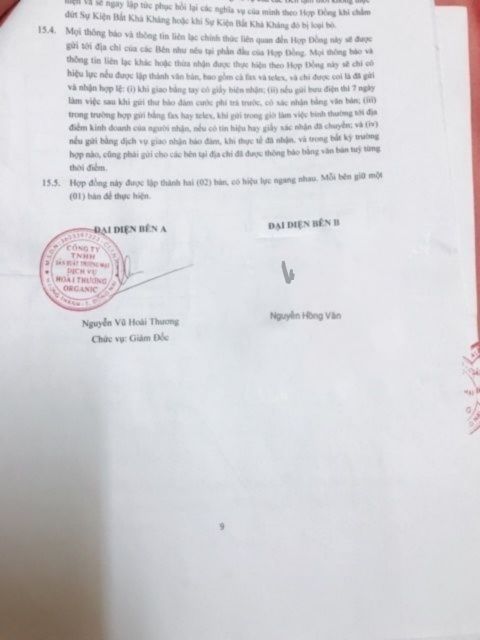 Nấm giảm cân X2 dạng viên hàng công ty | BigBuy360 - bigbuy360.vn