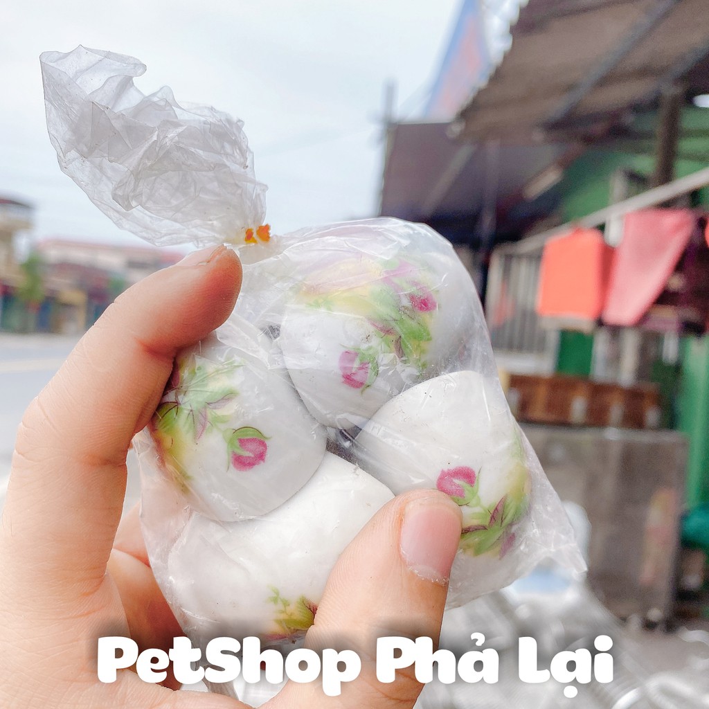 Cóng Ăn Chim chào mào