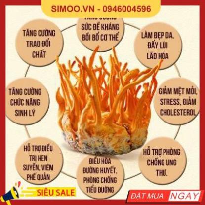 💥 ⚡ SẢN PHẨM CHÍNH HÃNG 💥 ⚡ 1 hộp 45G Hoa Đông Trùng Hạ Thảo Hàn Quốc Dạng Khô cao cấp 💥 ⚡