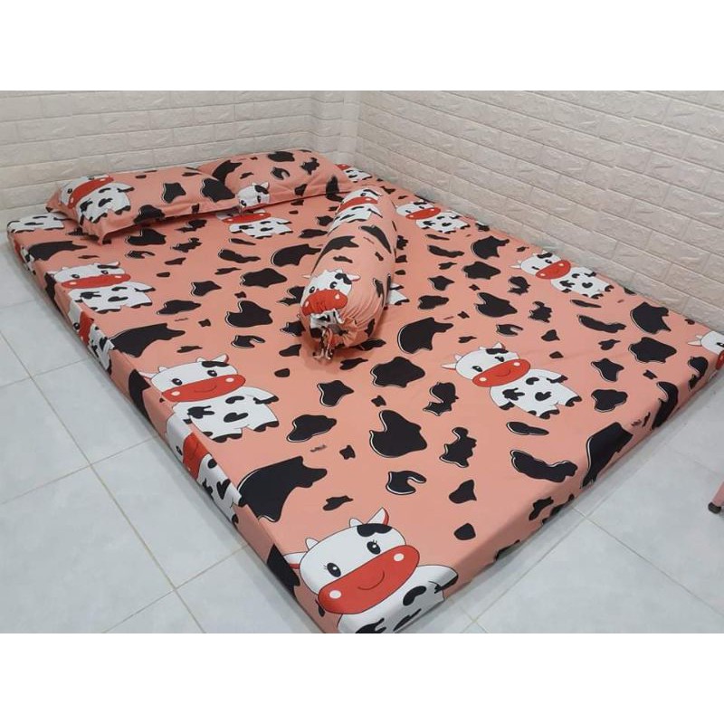 BỘ DRAP THUN HÀN QUỐC BÒ SỮA CUTE [ 4 MÓN : 1 GA TRẢI GIƯỜNG, 2 VỎ GỐI NẰM, 1 VỎ GỐI ÔM ].