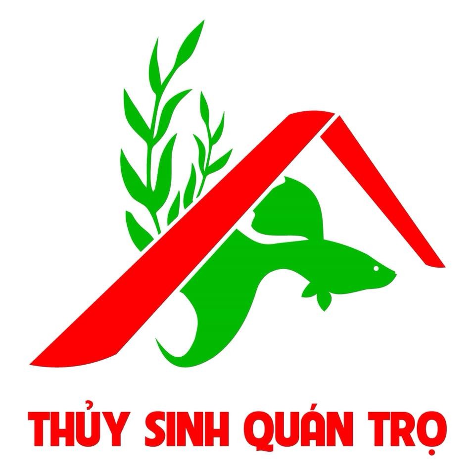 Thủy Sinh Quán Trọ ( HNH aqua)
