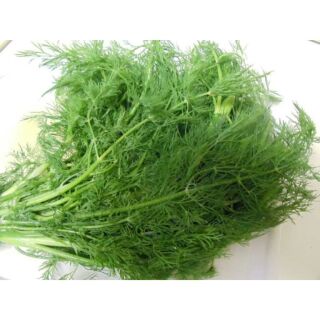 Hạt giống rau thìa là