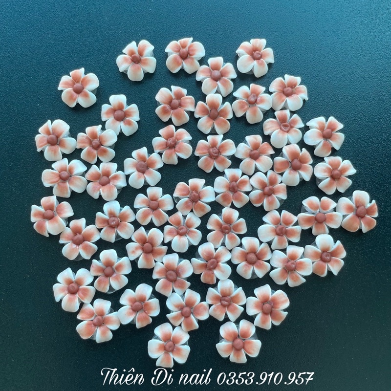 hoa bột_ hoa nail_ hoa sứ