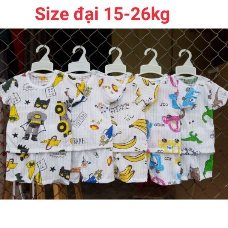 Bộ cotton giấy cộc tay / ba lỗ Size đại 15-26kg