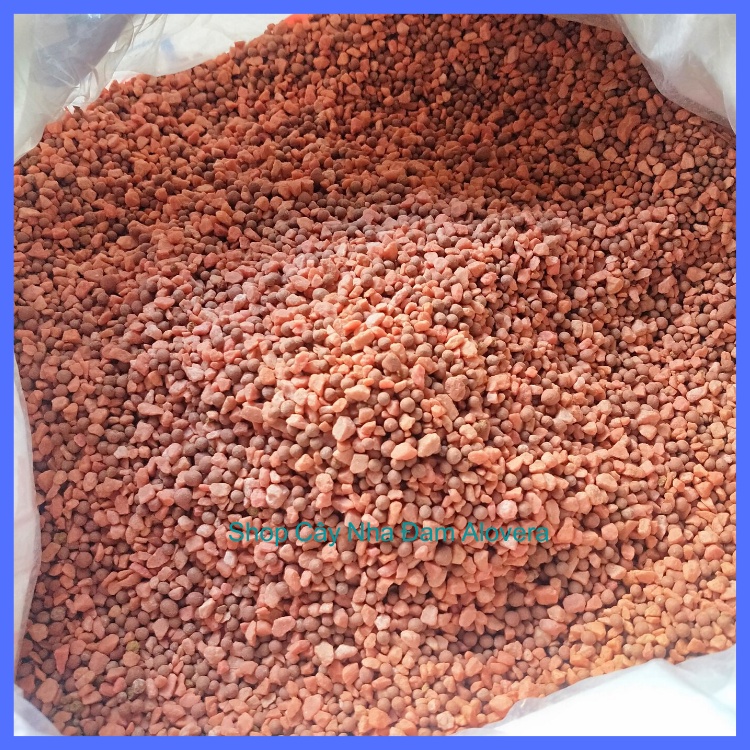 Phân KaLi + Silic Siêu Ngọt - Siêu Ra Hoa Đậu Trái Chuyên Dùng Cho Cây Ăn Trái