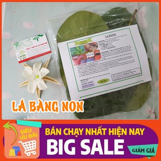 Lá Bàng Non 1Kg _ Tươi Hàng Loại 1