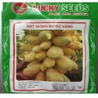Hạt giống đu đủ vàng lùn gói 5H