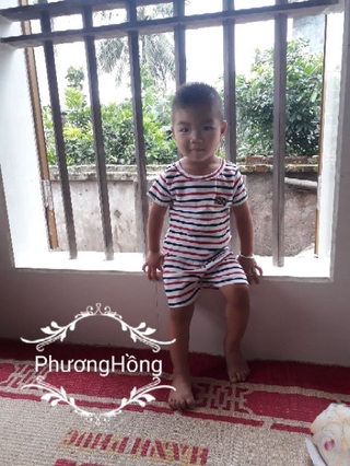 Bộ coton bozip