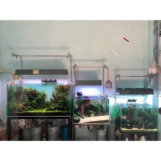 Giá treo đèn inox 304