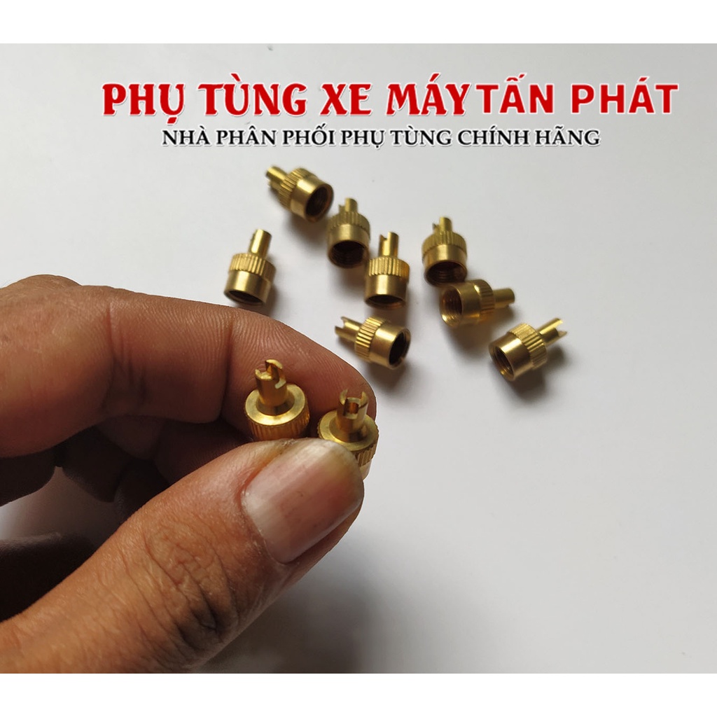 10 Cái Nắp Chụp Vặn Vòi Van Loại Dày Xe Máy Xe Đạp Xe Hơi Ô Tô