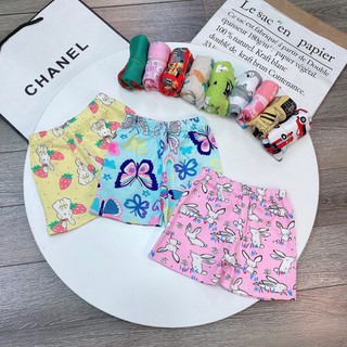 Set 10 quần chục đùi bozip