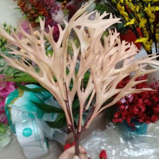 Combo 9 bó tulip,4 cỏ đuôi chồn,4 sừng hưu