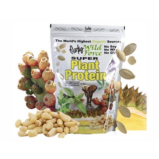 Bột Protein Markus 908g