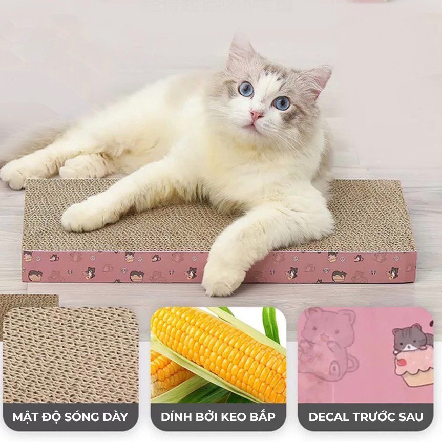 Bàn cào móng cho mèo giảm căng thẳng ( quà tặng cỏ Catnip), đồ cho mèo, đồ chơi cho mèo