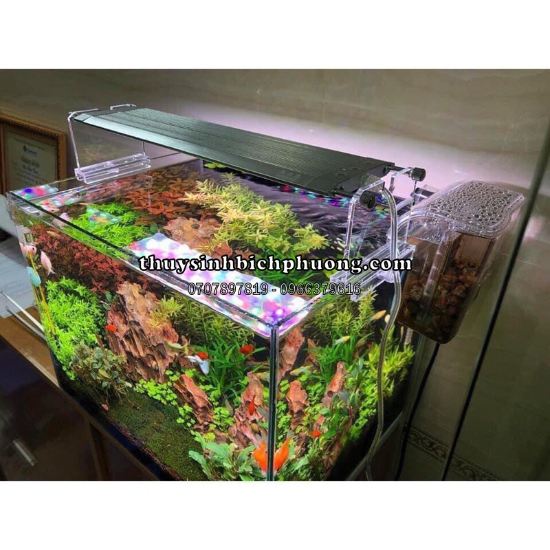 ĐÈN WEEK RAPTOR - LED WRGB THUỶ SINH CHUYÊN TRỒNG CÂY THUỶ SINH