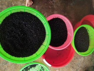Đỗ đen xanh lòng rang sẵn 1kg