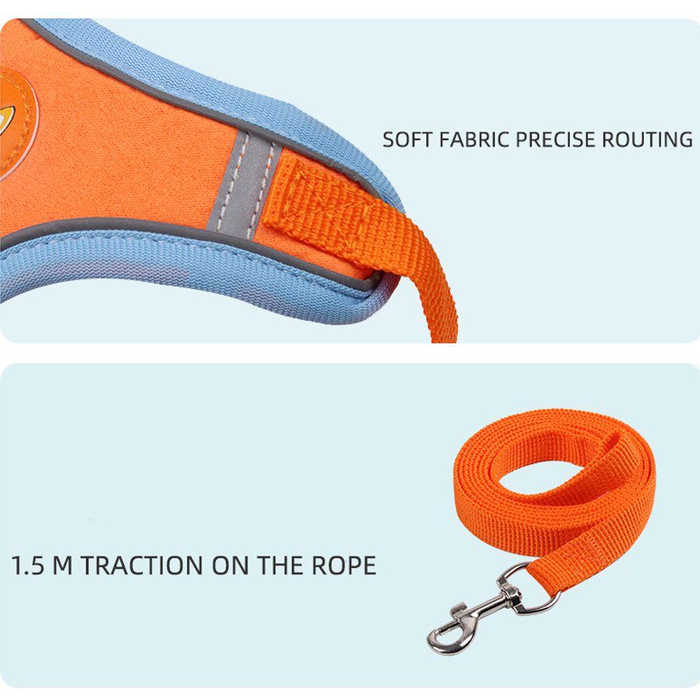 Dây Đeo / DẫN Thú Cưng Đi DạO