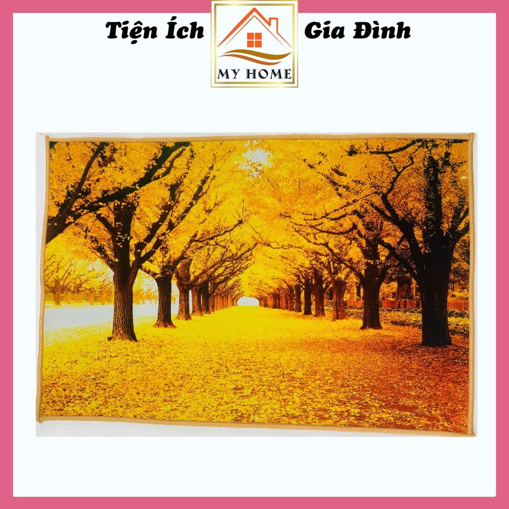 Thảm lau chân 3D, thảm chùi chân phòng khách họa tiết cực đẹp, kích thước 40x60cm