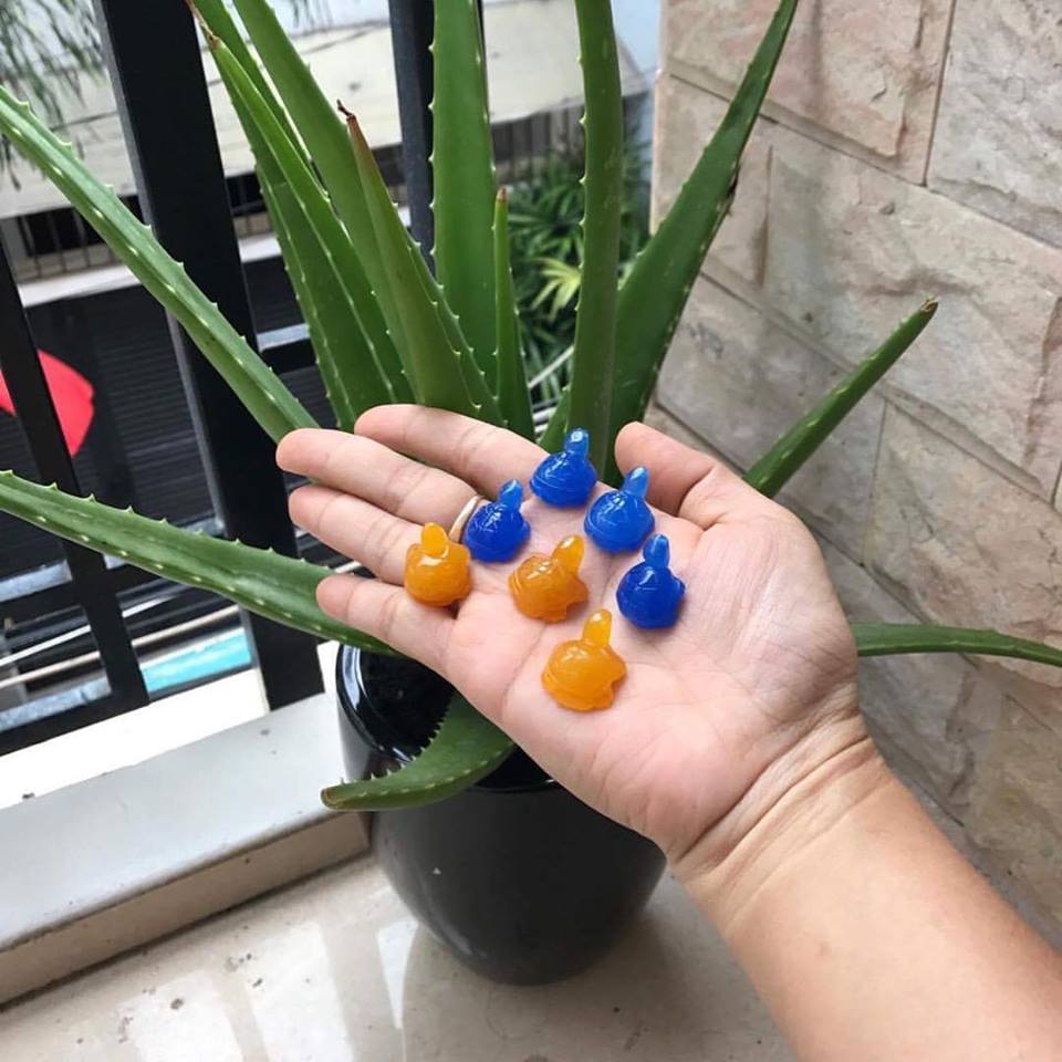 DÂY CHUYỀN CỤ RÙA TỐT CHO HỌC TẬP