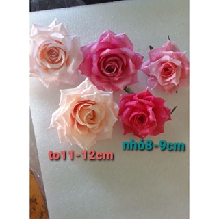 Combo 10 bông hồng loại đẹp
