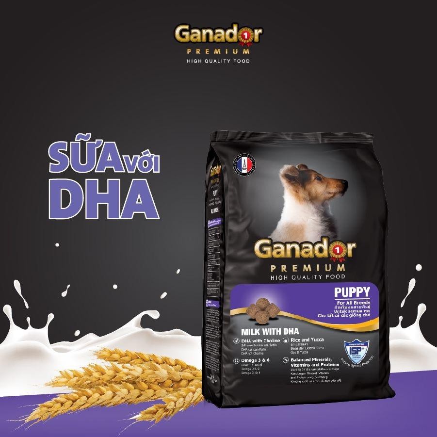 Thức ăn hạt cho chó con Ganador vị sữa &amp; DHA Puppy Milk with DHA 3kg