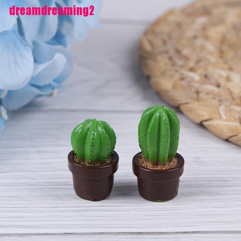 Bộ 5 Cây Xương Rồng Mini Bằng Nhựa Dùng Trang Trí