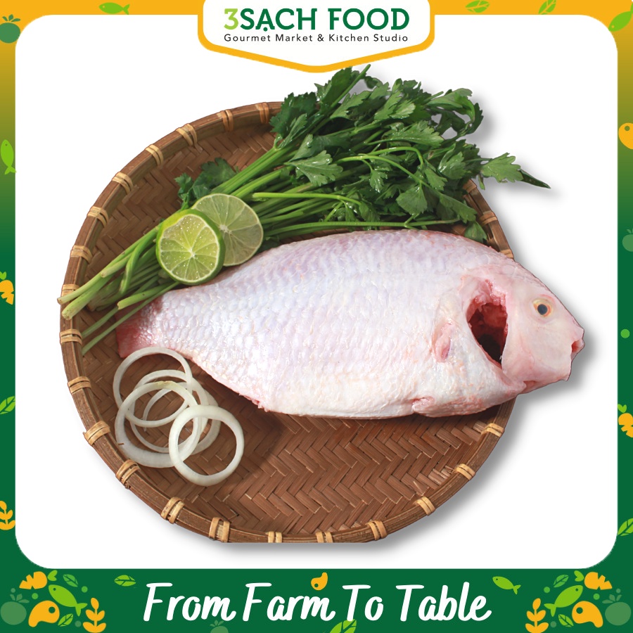 Cá Diêu Hồng - 800g/con