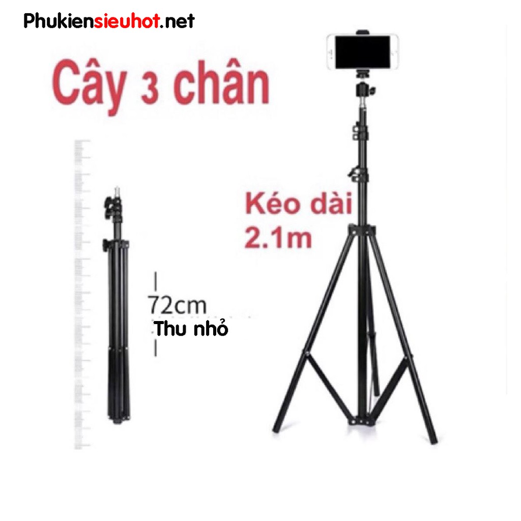 Chân giá đỡ 3 chân livestream tik tok, chụp ảnh, quay phim, đầu bi Q29 + đầu kẹp điện thoại chữ U