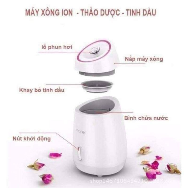 Máy Xông Hơi Da Mặt Hoa Quả Maoer