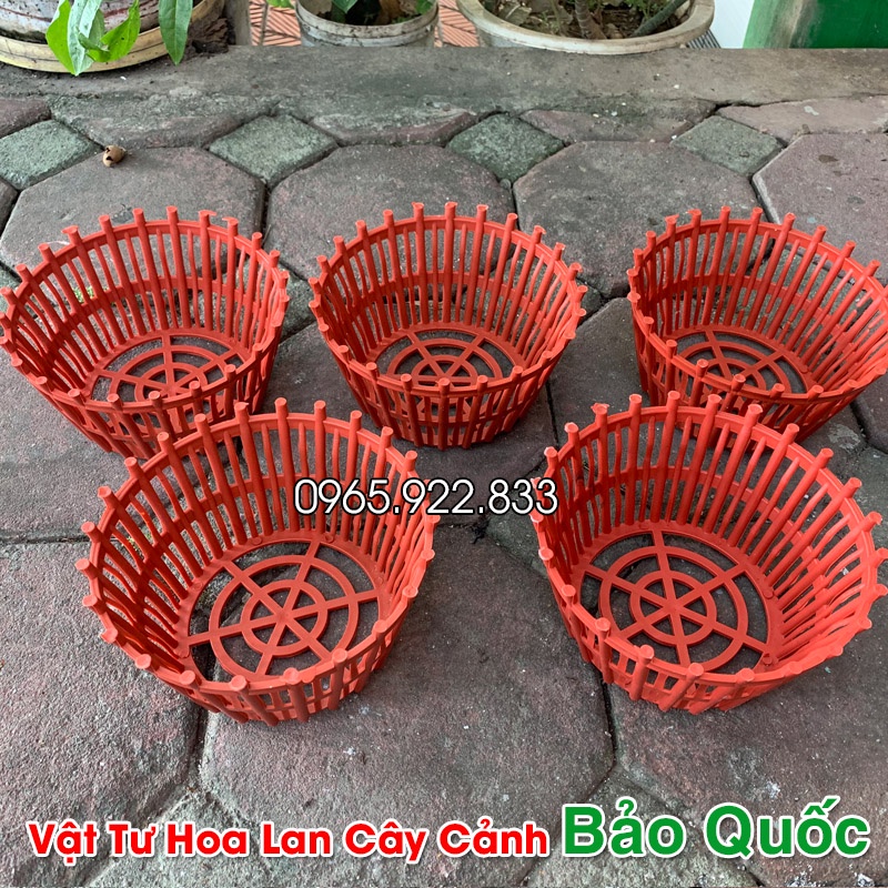 Chậu lan nhựa phi 20cm cứng cáp, bền chắc