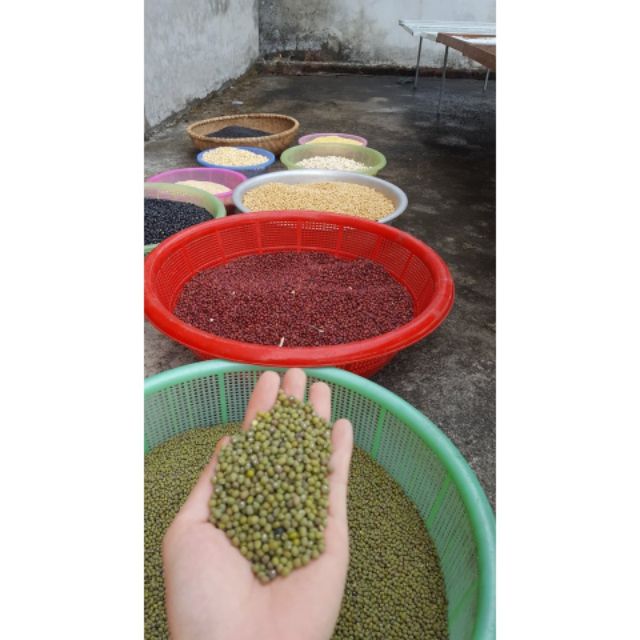 Combo 5ki đậu quê 4 loại ( đậu đen xanh lòng, đậu nành, đậu đỏ, đậu xanh)