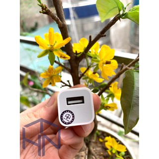 [FREE SHIP+ QUÀ] Sạc Iphone 5W Chấm Xanh Zin Bóc Máy