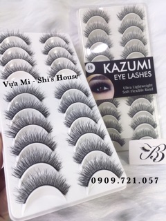 Mi Kazumi E9