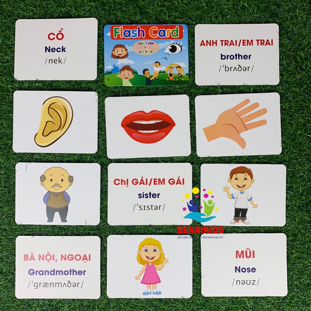 Thẻ Học FlashCard Thông Minh Loại To 16x12Cm 14 Chủ Đề Theo Phương Pháp Glenn Doman Giúp Bé Phát Triển Vượt Trội