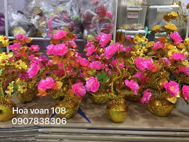 Cây đồng tiền gắn bông pha lê cao 38cm- Thành Phẩm