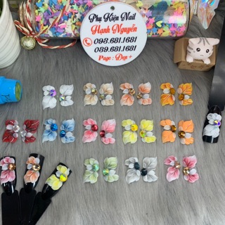 Set 2 bông Hoa Bột vẽ cánh mềm