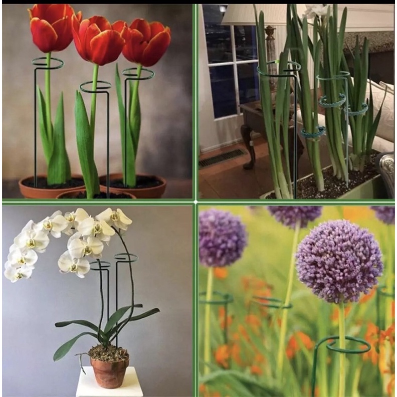 Cây đỡ hoa chuyên dụng bằng kim loại.