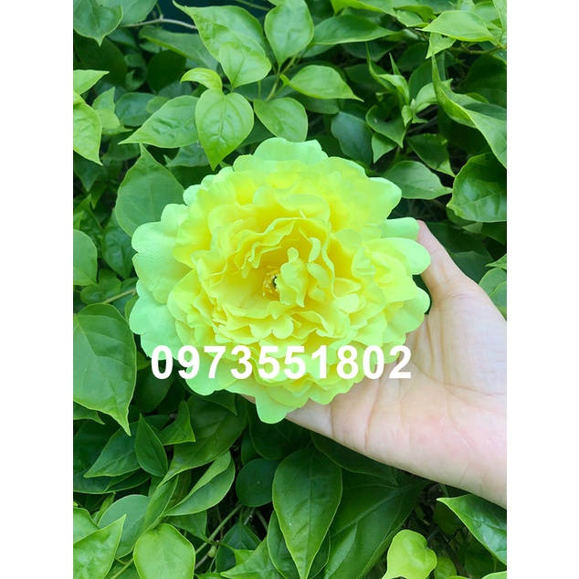 Đầu bông mẫu đơn trang trí size lớn
