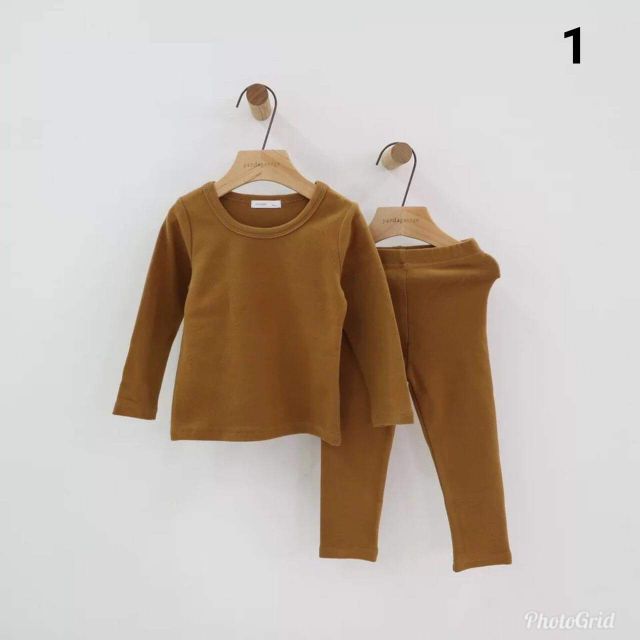 Combo 2 bộ cotton trơn tú anh