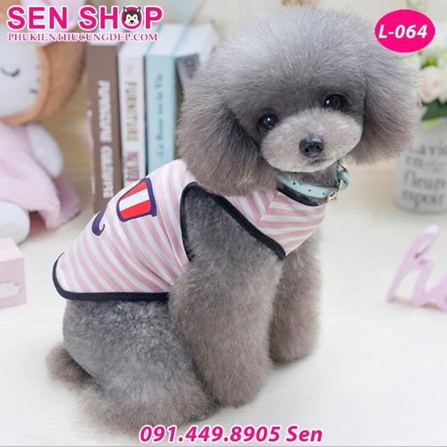 Áo cho chó poodle