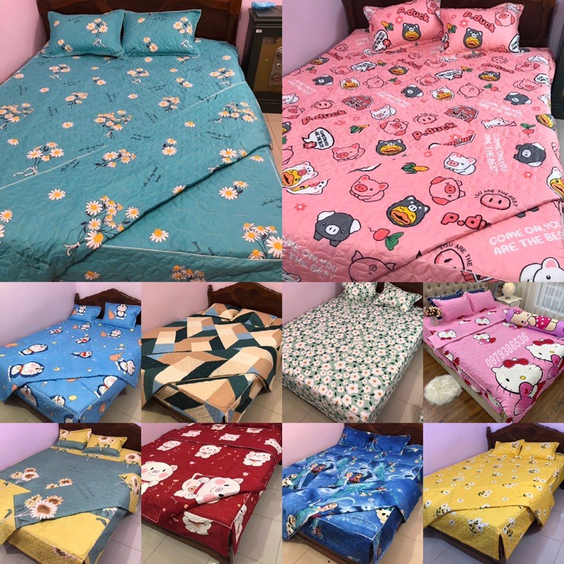 Sét bộ 5 món ga gối phủ trần bông kèm chăn hè lồng được ruột