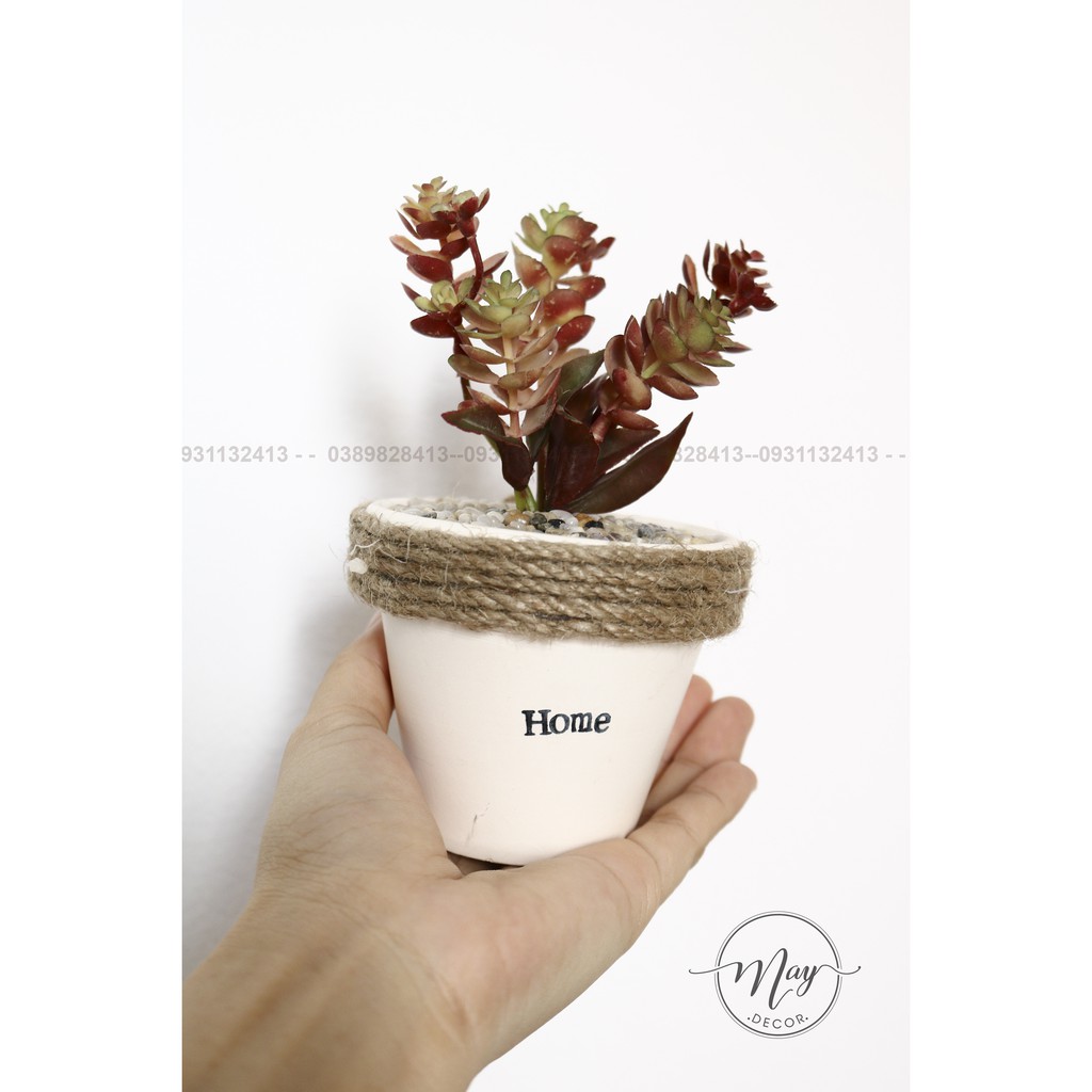 Cây giả, Chậu sen đá giả xinh xắn, chậu gờ 7cm