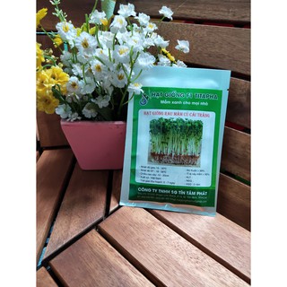 Rau mầm củ cải trắng nảy mầm tốt