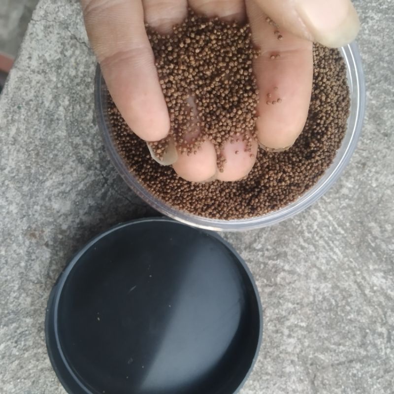 Thức ăn cá bẩy màu  shanghai lớn nhanh, tăng màu