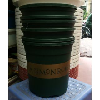 Combo 3 chậu cỡ số 5, 3 chậu  cỡ số 3