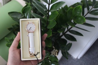 Đồng hồ Daniel Wellington Bondi nữ 32mm authentic