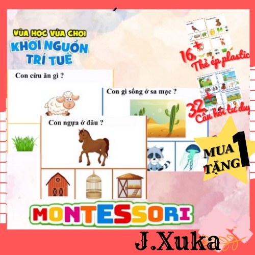 Học liệu montessori cho bé đồ chơi giáo dục sớm Bộ câu hỏi tư duy J22