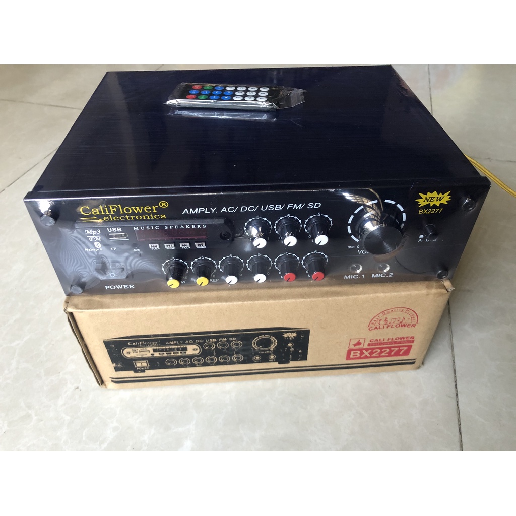 AMPLY KARAOKE MINI DC 12V USB - CALIPLOWER