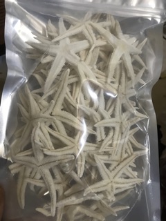 20 Con sao biển khô